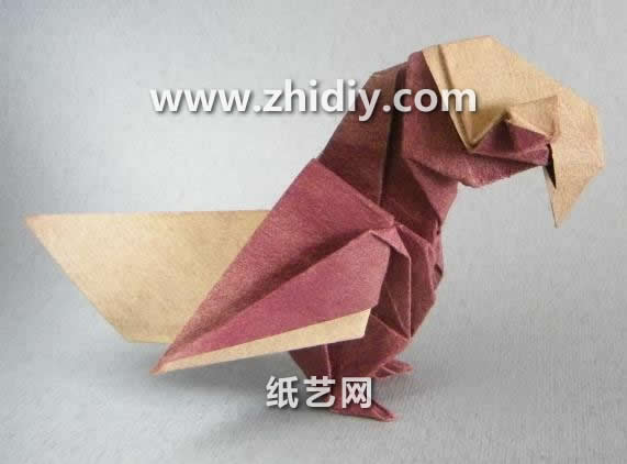 折纸大全手工折纸视频教程手把手教你制作折纸鹦鹉