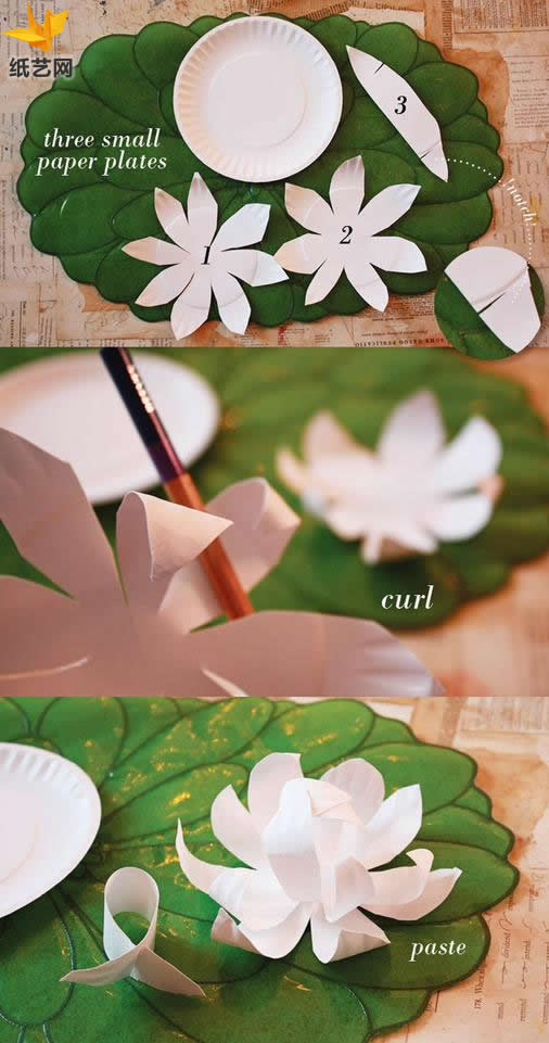 手工纸艺木兰花的基本制作方法展示出折纸木兰花制作的技巧