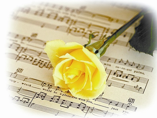 黄色玫瑰花所代表的最新的玫瑰花语大全