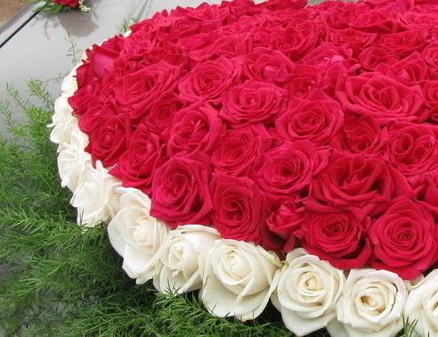 50朵玫瑰花所代表的最细腻的玫瑰花语大全