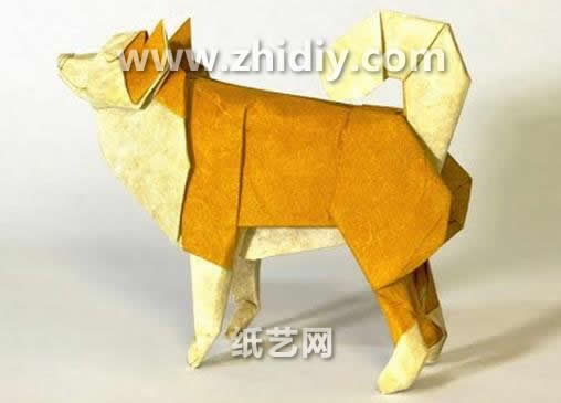 手工折纸牧羊犬的折法视频教程手把手教你如何制作出可爱的折纸狗狗