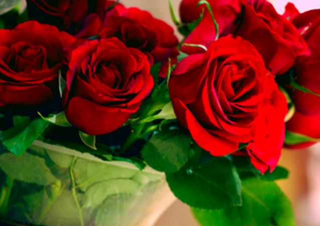 22朵玫瑰花所代表的玫瑰花语