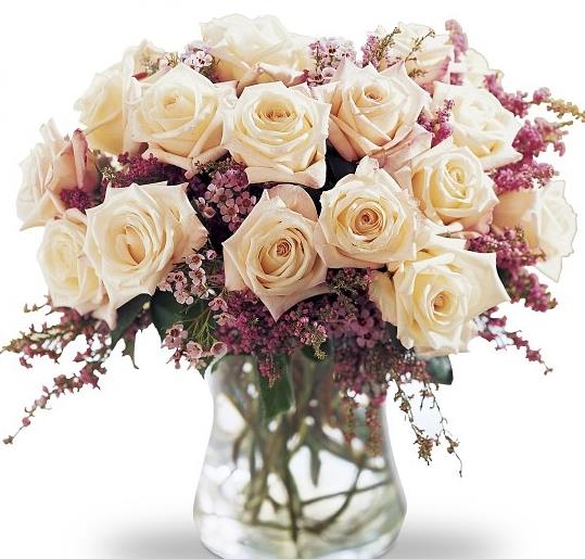 1001朵玫瑰花所代表含义和花语大全