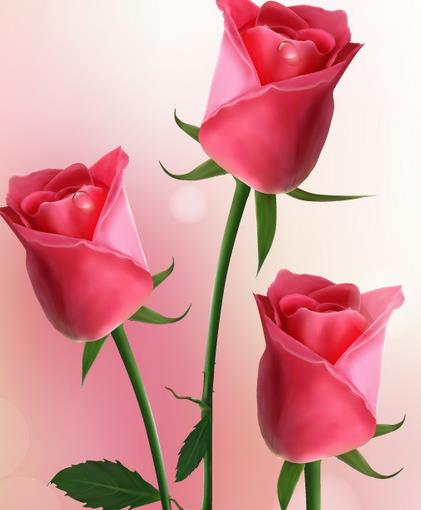 20朵玫瑰花语里的赤诚和隽永夜深人静说给自