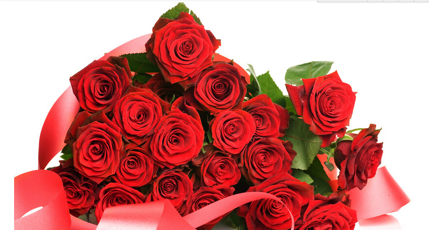 25朵玫瑰花语代表的最新花语大全