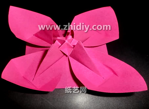 妇女节手工折纸花芍药的折法教程教你如何制作折纸芍药