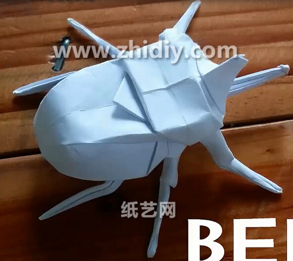 手工折纸甲虫的折法教程教你学习如何制作精美的折纸甲虫