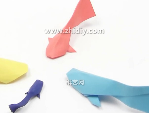 手工折纸鲤鱼的折法视频教程手把手教你学习如何折叠鲤鱼