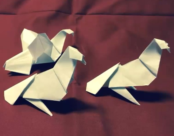 立体折纸之和平鸽的制作教程
