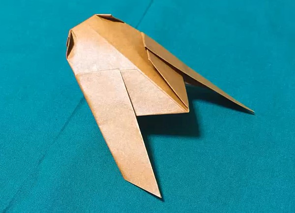 儿童简单折纸知了的折法制作教程手把手教你学习如何制作折纸知了