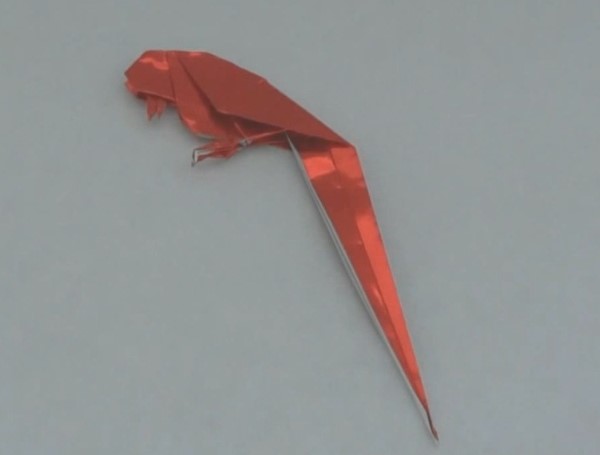 手工折纸鸟的手工折纸视频教程手把手教你制作出可爱的折纸鸟
