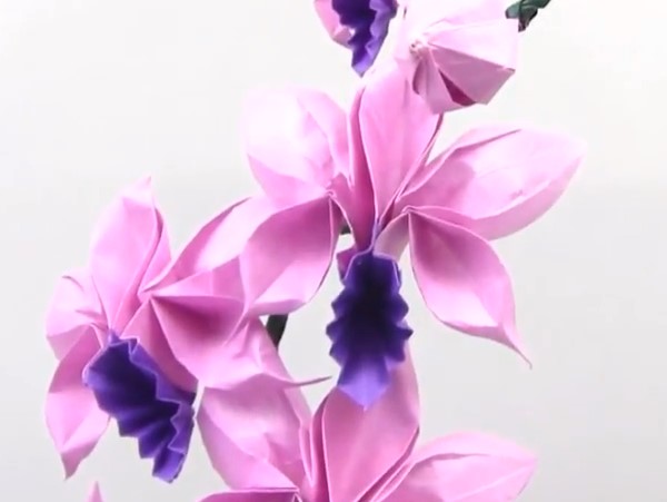 手工折纸兰花的折法视频教程手把手教你学习如何制作折纸兰花