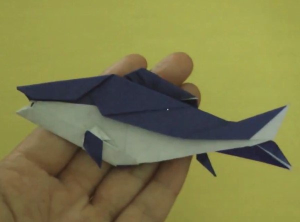 手工折纸鱼的折法视频教程手把手教你学习如何制作折纸鱼
