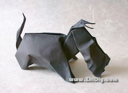 湿法折纸制作的折纸小狗效果比普通的折纸更加的漂亮