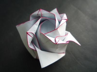 简单折纸玫瑰花的基本折纸图解教程帮助你更好的理解简单的折纸玫瑰花折法