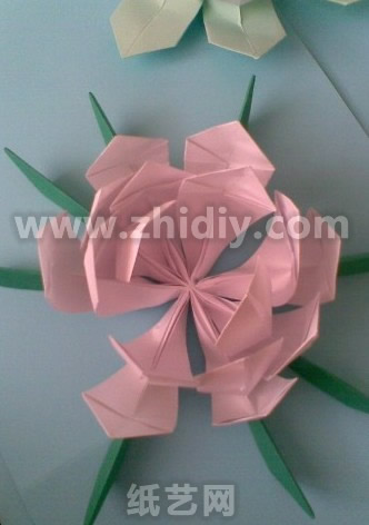 第三十四步现在已经看到中秋节的手工折纸荷花的主体花部分已经制作完成了