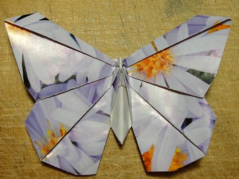 手工折纸蝴蝶折纸图解教程教你制作精美的折纸蝴蝶