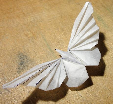 蝴蝶折纸教程所制作出来的折纸蝴蝶很漂亮