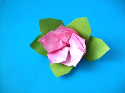 折纸花的折纸图解教程手把手教你折叠出精美的折纸杜鹃花