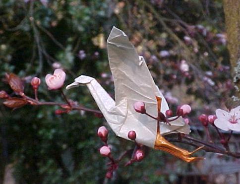 手工折纸鸭子的制作教程让折纸鸭子变得容易制作起来