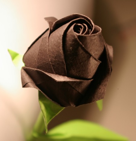 这是一个非常简单但是制作出来的手工折纸玫瑰很漂亮的纸玫瑰的折法