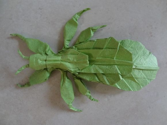 折纸叶虫CP折纸图纸手把手教你做折纸昆虫