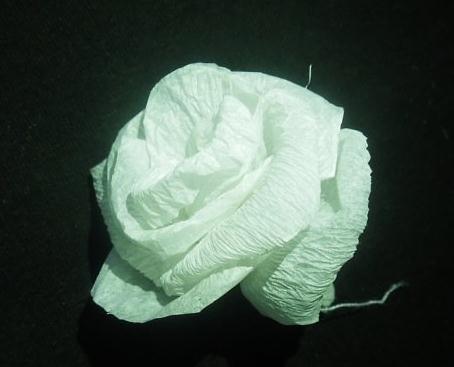 餐巾纸玫瑰花的基本制作方法教你制作餐巾纸玫瑰
