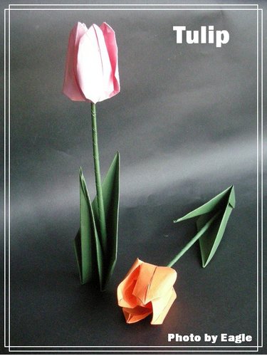 折纸花的手工折纸图解教程手把手教你制作漂亮的郁金香