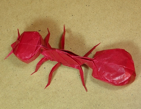 折纸蚂蚁的制作教程手把手教你制作一个漂亮的折纸蚂蚁