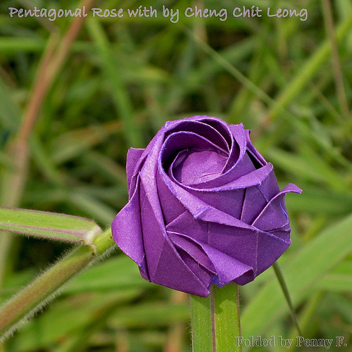 五瓣折纸玫瑰花的基本折法教程帮助你制作出非常漂亮的折纸玫瑰花