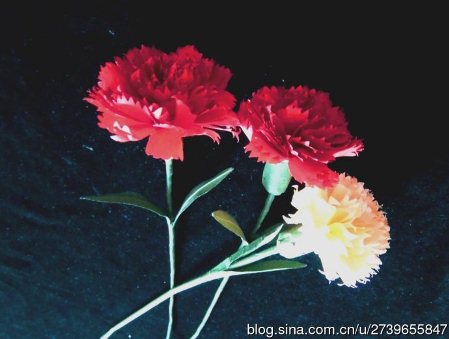 母亲节手工纸玫瑰花的制作方法教程教你制作出漂亮的康乃馨
