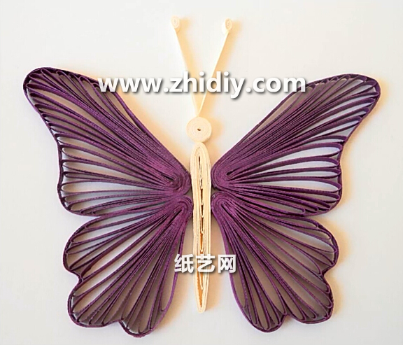 衍纸蝴蝶的手工制作方法教程手把手教你学习衍纸蝴蝶的制作