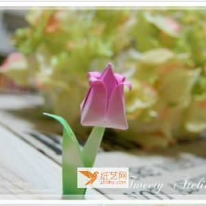 一朵精美的郁金香如何用折纸的方式实现 图解教程教你折郁金香花