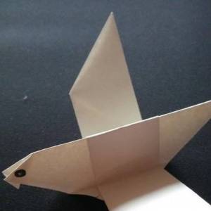 专供儿童学习的简单和平鸽折叠方法