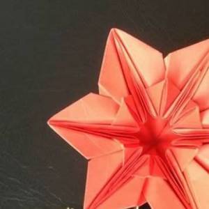 使用折纸折叠君子兰的方法教程