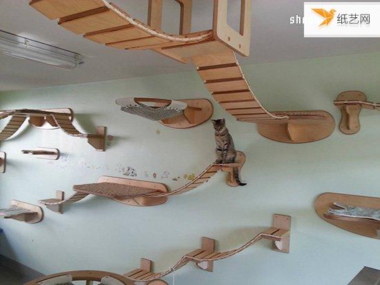 让猫猫大人太幸福的空中乐园般的个性猫爬架