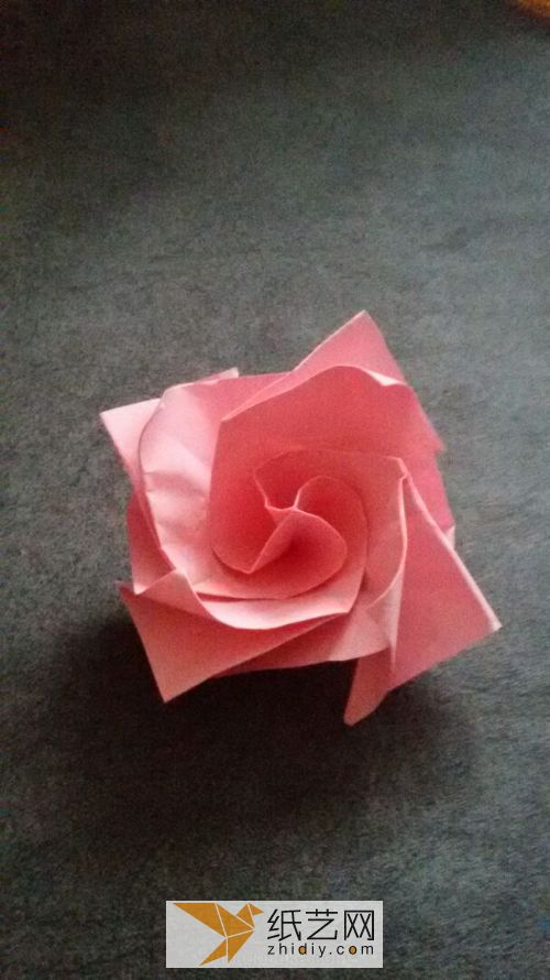 超简单川崎玫瑰。 第35步