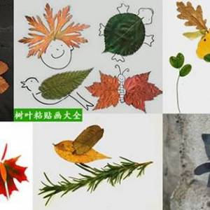儿童收集树叶粘贴的各式各样的动物贴画图片