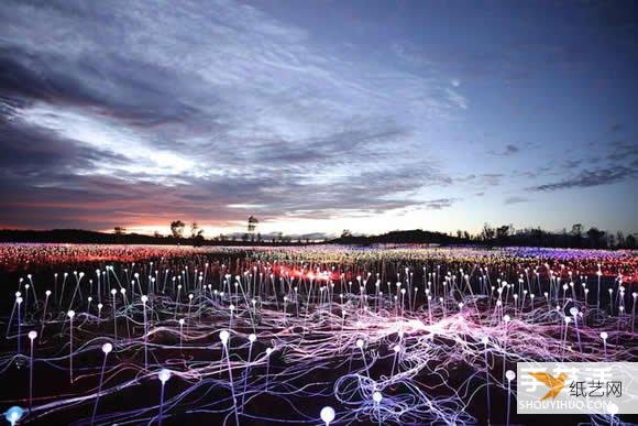 使用5万个灯泡制作的个性的闪耀于澳洲心脏的光之原野