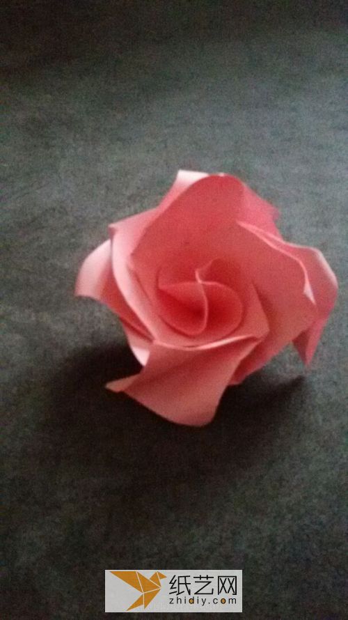 超简单川崎玫瑰。 第38步