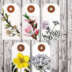 使用简约分隔卡片设计制作复古风花卉图案标签 图片