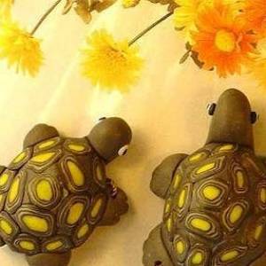 使用简单的超轻粘土制作逼真的小乌龟