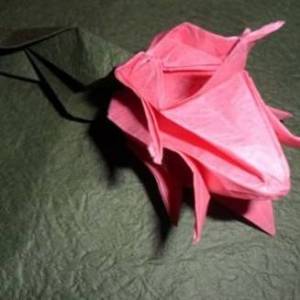 折纸圣诞仙人掌—蟹爪兰的折纸方法图解教程