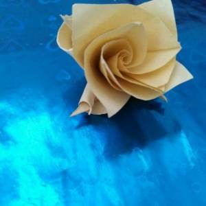 折纸玫瑰花的简单做法 一个你一定能学会的折纸玫瑰花教程