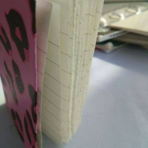 变废为宝用废旧的纸张制作出可爱的小本子、日记本
