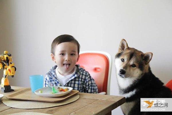 可爱小男孩和他最好的狗狗朋友摄影作品图片