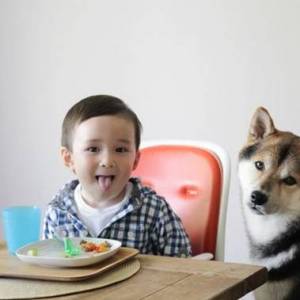 可爱小男孩和他最好的狗狗朋友摄影作品图片
