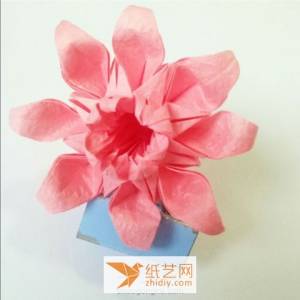 精致的手工折纸菊花制作教程