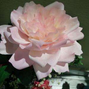 情人节染色皱纹纸纸玫瑰花的做法 一个简单的新纸玫瑰花教程
