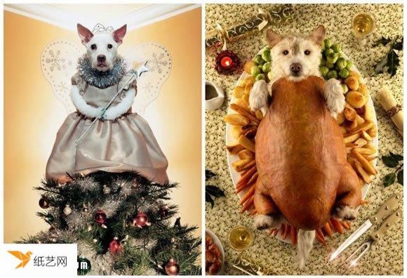 一次很完美的Peter Thorpe 和爱犬的20年圣诞变装秀